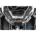 Ilmberger Carbon Front Beak Front Extension for the BMW R 1250 GS 2019 Ilmberger Carbon Front Beak Front Extension for the BMW R 1250 GS 2019
